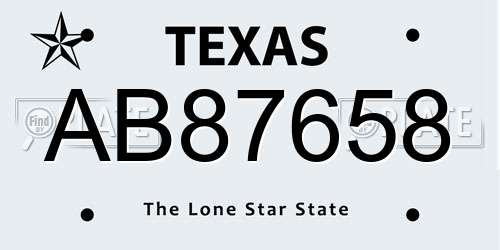 AB87658 Texas License Plate