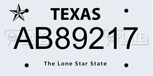AB89217 Texas License Plate