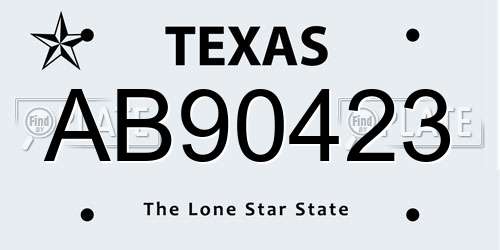 AB90423 Texas License Plate