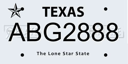 ABG2888 Texas License Plate