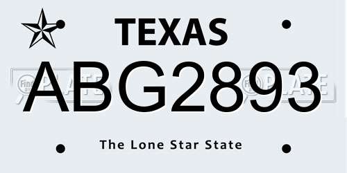 ABG2893 Texas License Plate