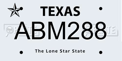 ABM288 Texas License Plate