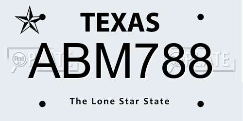 ABM788 Texas License Plate