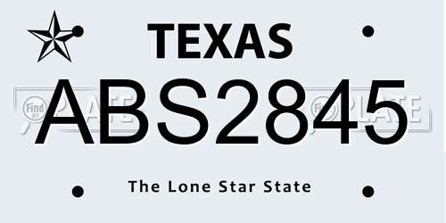 ABS2845 Texas License Plate