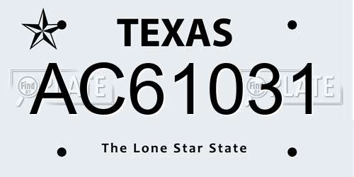 AC61031 Texas License Plate