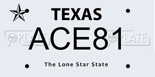 ACE81 Texas License Plate