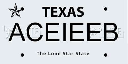 ACEIEEB Texas License Plate