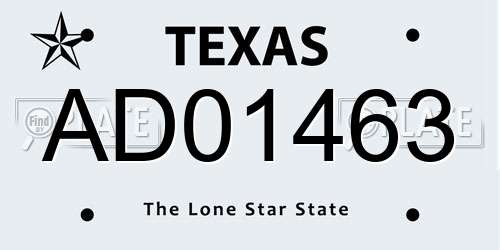 AD01463 Texas License Plate