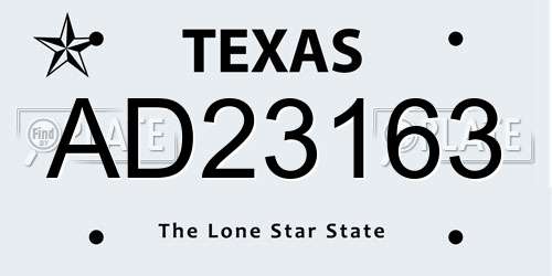 AD23163 Texas License Plate