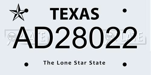AD28022 Texas License Plate