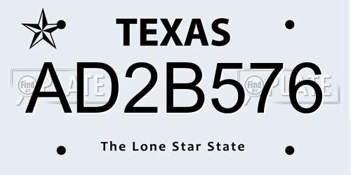 AD2B576 Texas License Plate