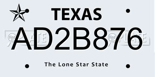 AD2B876 Texas License Plate