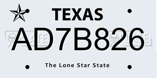 AD7B826 Texas License Plate
