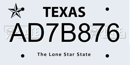 AD7B876 Texas License Plate