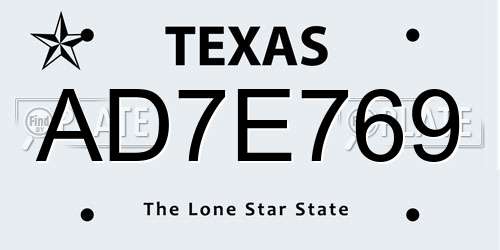 AD7E769 Texas License Plate