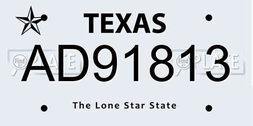 AD91813 Texas License Plate
