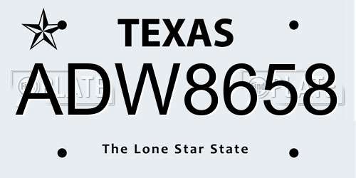 ADW8658 Texas License Plate