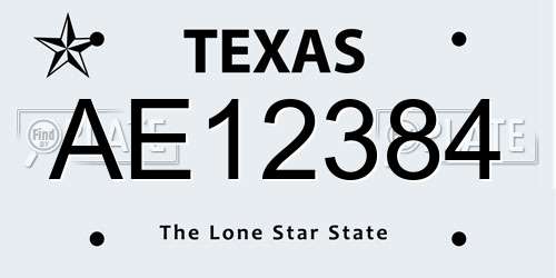 AE12384 Texas License Plate