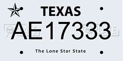 AE17333 Texas License Plate