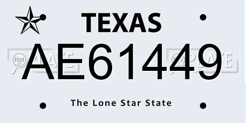 AE61449 Texas License Plate