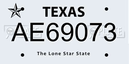 AE69073 Texas License Plate