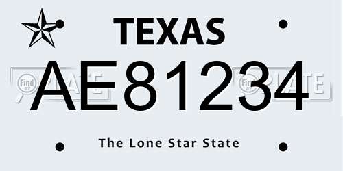 AE81234 Texas License Plate