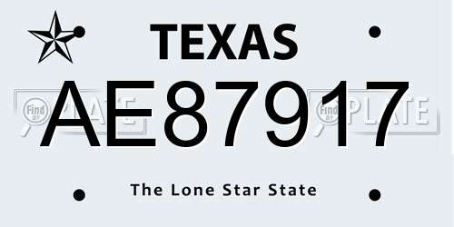 AE87917 Texas License Plate