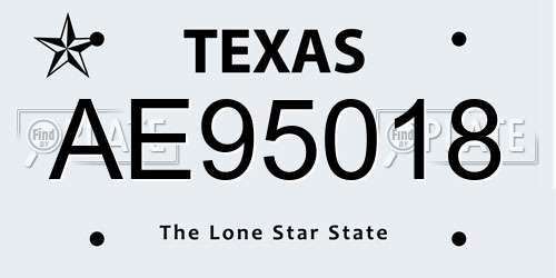 AE95018 Texas License Plate