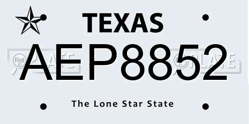 AEP8852 Texas License Plate