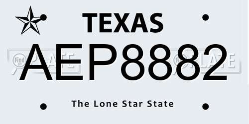 AEP8882 Texas License Plate