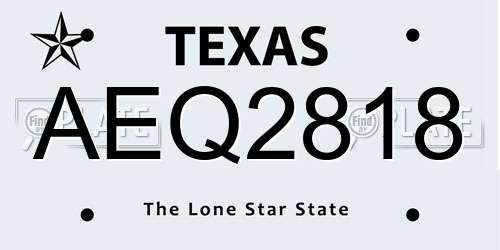 AEQ2818 Texas License Plate