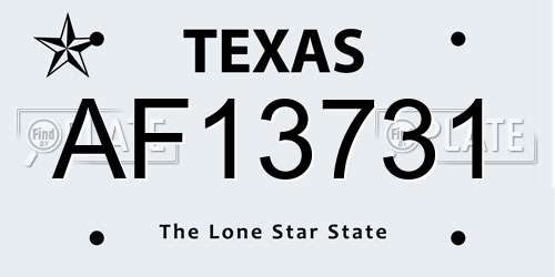 AF13731 Texas License Plate