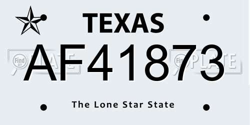 AF41873 Texas License Plate