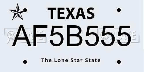 AF5B555 Texas License Plate
