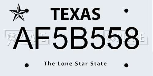 AF5B558 Texas License Plate