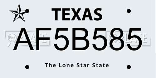AF5B585 Texas License Plate