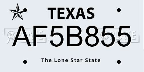 AF5B855 Texas License Plate