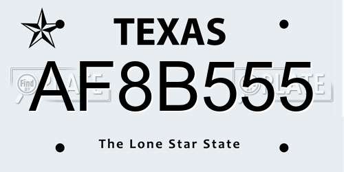 AF8B555 Texas License Plate
