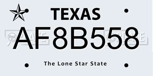 AF8B558 Texas License Plate