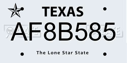 AF8B585 Texas License Plate