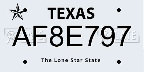 AF8E797 Texas License Plate