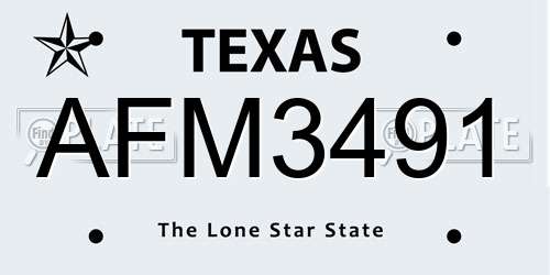 AFM3491 Texas License Plate