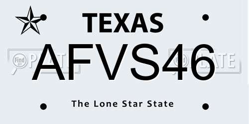 AFVS46 Texas License Plate