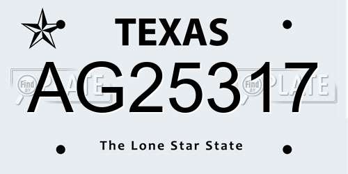 AG25317 Texas License Plate