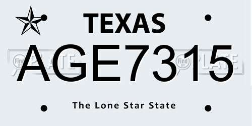 AGE7315 Texas License Plate