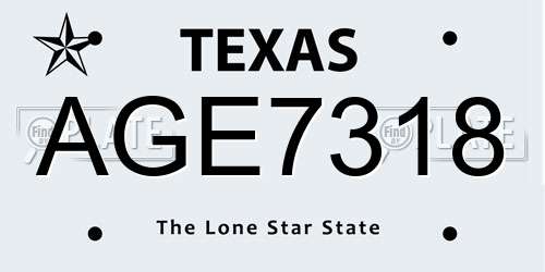 AGE7318 Texas License Plate