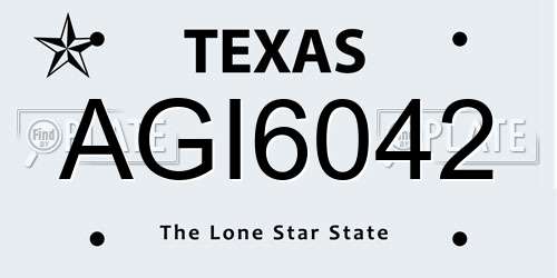 AGI6042 Texas License Plate