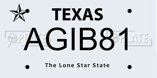 AGIB81 Texas License Plate
