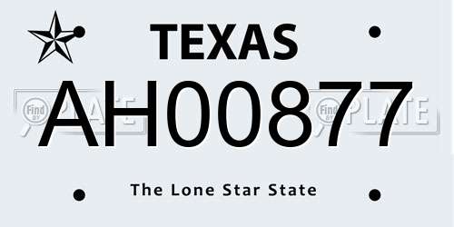 AH00877 Texas License Plate