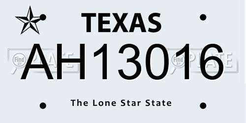 AH13016 Texas License Plate